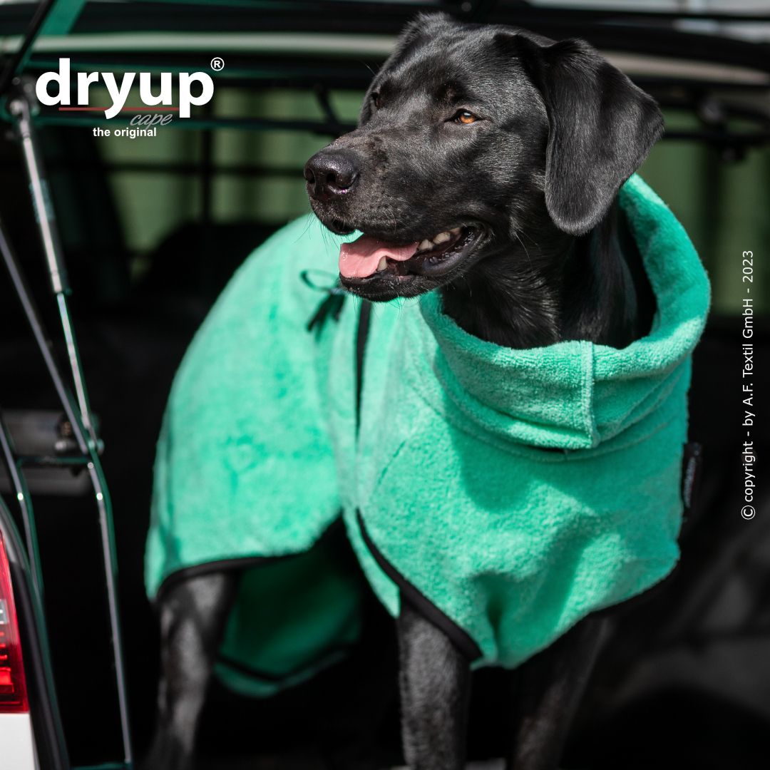 Dryup cape - Mint